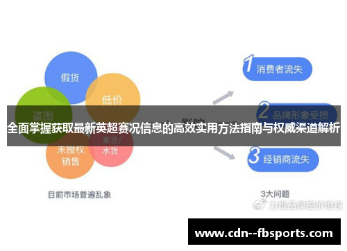 全面掌握获取最新英超赛况信息的高效实用方法指南与权威渠道解析